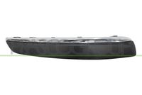 PRASCO PG0611244 - Listón embellecedor/protector, parachoques