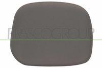 PRASCO PG9047414 - Cubierta, retrovisor exterior