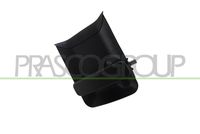 PRASCO PG9048101 - Manecilla exterior de la puerta