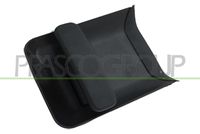 PRASCO PG9048102 - Manecilla exterior de la puerta