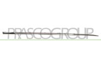 PRASCO RN3291413 - Listón embellecedor/protector, puerta