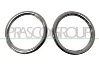 PRASCO RN3291240 - Pantalla, faro antiniebla