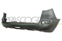 PRASCO RN8201061 - Parachoques