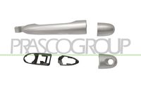 PRASCO RN8208017 - Manecilla exterior de la puerta