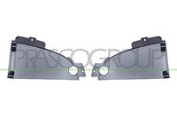 PRASCO RN9241075 - Soporte, parachoques