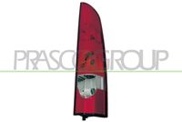 PRASCO RN9174153 - Piloto posterior
