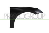 PRASCO SK0343013 - Guardabarros