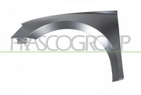 PRASCO SK4243004 - Guardabarros