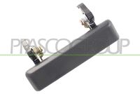 PRASCO SZ0408211 - Manecilla exterior de la puerta