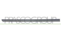 PRASCO VG0211463 - Listón embellecedor/protector, puerta
