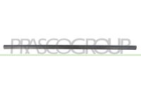 PRASCO VG0211403 - Listón embellecedor/protector, puerta
