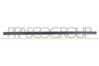 PRASCO VG0211404 - Listón embellecedor/protector, puerta