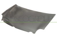 PRASCO VG0213100 - Capó del motor