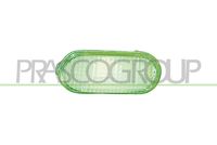 PRASCO VG0344043 - Piloto intermitente - TYC