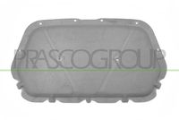 PRASCO VG4241945 - Amortiguación del compartimiento de motor