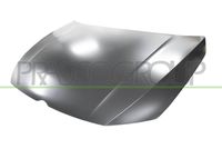 PRASCO VG4103100 - Capó del motor