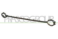 PRASCO VG4202206 - Listón embellecedor/protector, parachoques