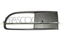PRASCO VG4242134 - Rejilla de ventilación, parachoques