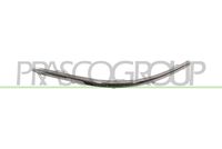 PRASCO VG7171248 - Listón embellecedor/protector, parachoques