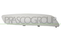 PRASCO VG5201243 - Listón embellecedor/protector, parachoques