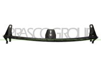 PRASCO VG5241005 - Soporte, parachoques