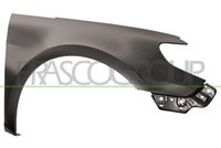 PRASCO VG6203003 - Guardabarros