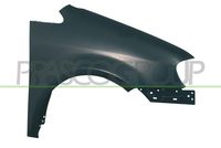 PRASCO VG7153003 - Guardabarros