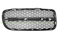 PRASCO VG8152123 - Rejilla de ventilación, parachoques