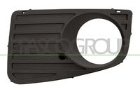 PRASCO VG9522134 - Rejilla de ventilación, parachoques