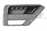 PRASCO VG9562133 - Rejilla de ventilación, parachoques