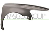 PRASCO VV3203033 - Guardabarros - PremiumCertified