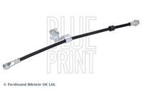 BLUE PRINT ADA105339 - Tubo flexible de frenos