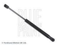 BLUE PRINT ADA105802 - Muelle neumático, capó de motor