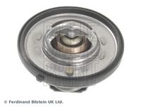 BLUE PRINT ADA109203 - Termostato, refrigerante