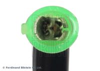 BLUE PRINT ADBP140050 - Muelle espiral, airbag