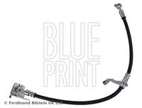 BLUE PRINT ADBP530031 - Tubo flexible de frenos