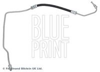 BLUE PRINT ADBP530064 - Tubo flexible de frenos