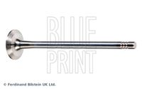 BLUE PRINT ADBP610040 - Válvula de escape