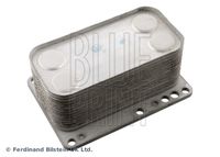 BLUE PRINT ADBP610096 - Radiador de aceite, aceite motor