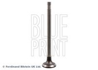 BLUE PRINT ADBP610034 - Válvula de admisión