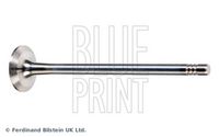 BLUE PRINT ADBP610040 - Válvula de escape