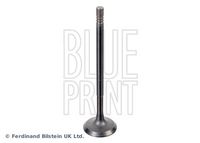 BLUE PRINT ADBP610041 - Válvula de admisión