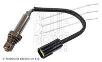 BLUE PRINT ADBP700047 - Sonda Lambda