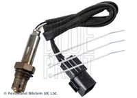 BLUE PRINT ADBP700048 - Sonda Lambda