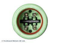 BLUE PRINT ADBP700063 - Sonda Lambda