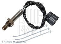 BLUE PRINT ADBP700114 - Sonda Lambda