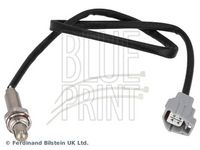 BLUE PRINT ADBP700120 - Sonda Lambda