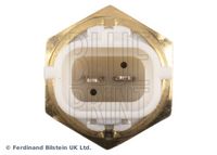 BLUE PRINT ADBP720037 - Sensor, temperatura del refrigerante