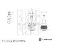 BLUE PRINT ADBP860066 - Rótula de suspensión/carga