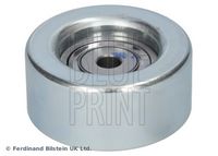 BLUE PRINT ADBP960054 - Polea inversión/guía, correa poli V